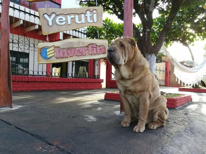 Posada Turistica Yeruti Encarnacion Luaran gambar